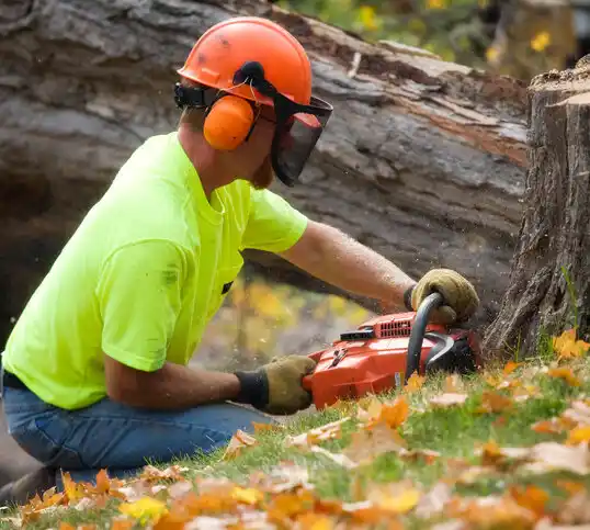 tree services Brookdale